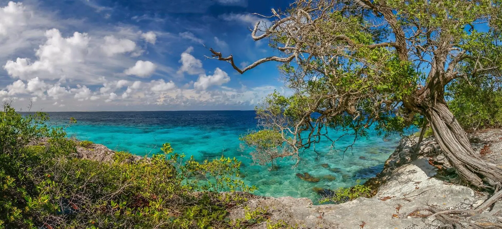 Bonaire 2 Stay Eco, Eco Resort Bonaire Kralendijk  Bonaire, Saint Eustatius and Saba