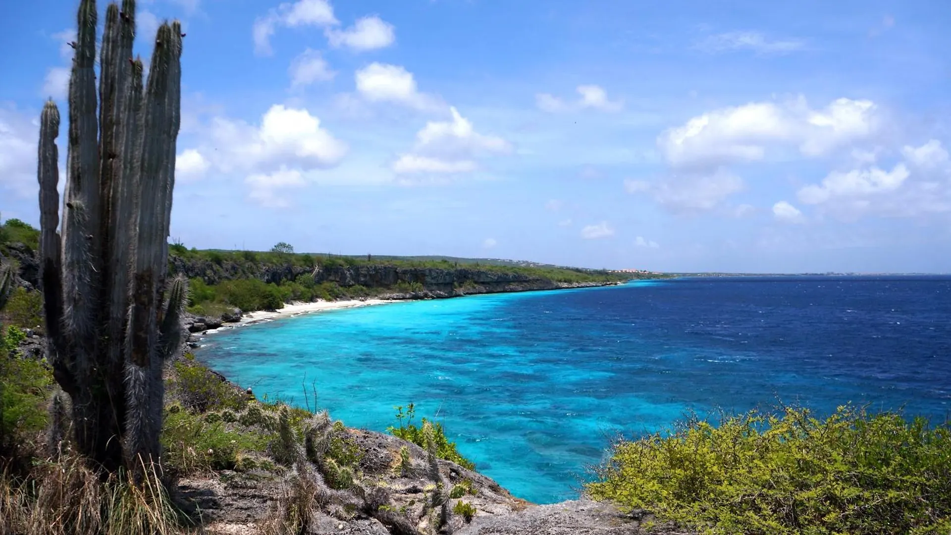 Bonaire 2 Stay Eco, Eco Resort Bonaire Kralendijk  0*, Kralendijk (Bonaire)