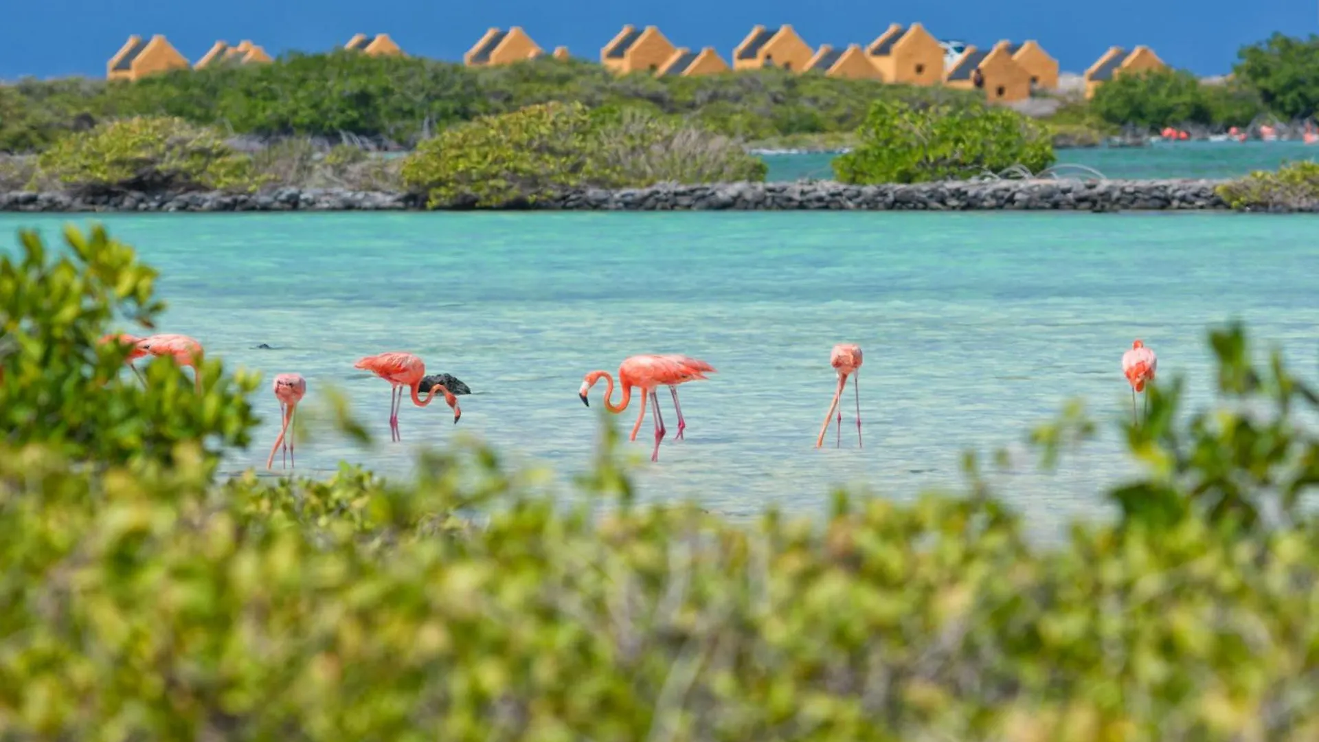 Holiday home Bonaire 2 Stay Eco, Eco Resort Bonaire Kralendijk