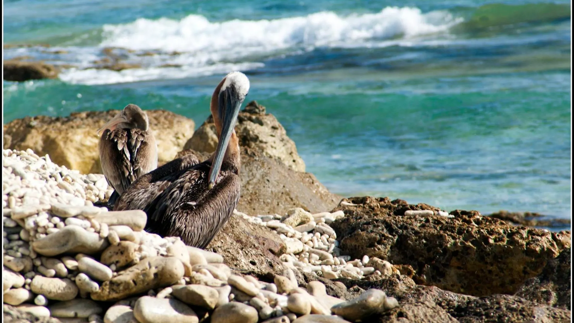 Bonaire 2 Stay Eco, Eco Resort Bonaire Kralendijk