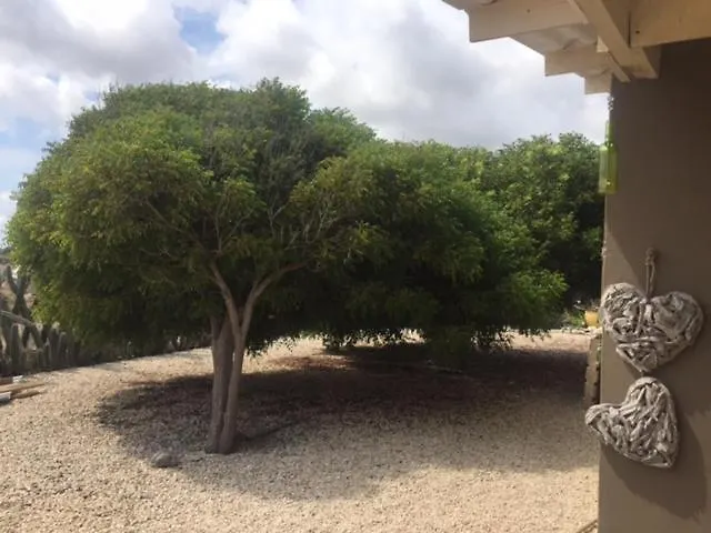 Bonaire 2 Stay Eco, Eco Resort Bonaire Kralendijk na wyspie Bonaire Dom wakacyjny
