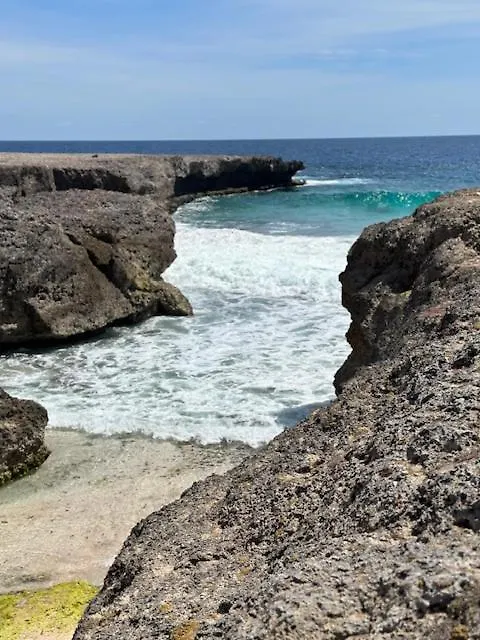 Dom wakacyjny Bonaire 2 Stay Eco, Eco Resort Bonaire Kralendijk na wyspie Bonaire Bonaire, Saint Eustatius i Saba