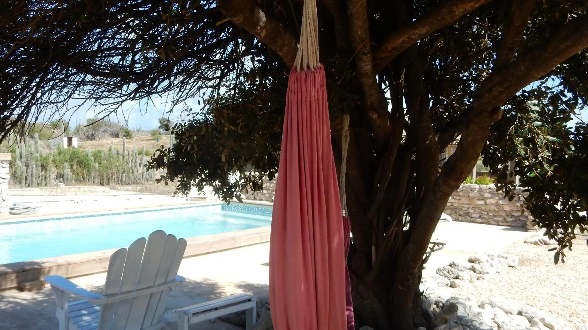 Bonaire 2 Stay Eco, Eco Resort Bonaire Kralendijk na wyspie Bonaire 0*,  Bonaire, Saint Eustatius i Saba